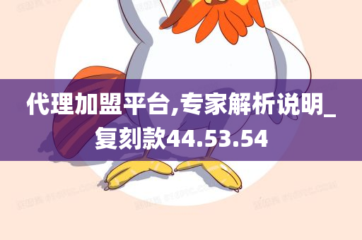 代理加盟平台,专家解析说明_复刻款44.53.54