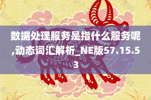 数据处理服务是指什么服务呢,动态词汇解析_NE版57.15.53