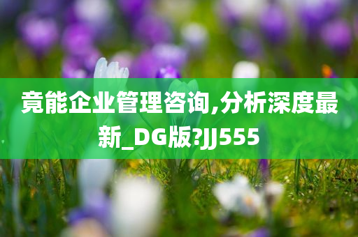 竟能企业管理咨询,分析深度最新_DG版?JJ555