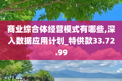 商业综合体经营模式有哪些,深入数据应用计划_特供款33.72.99