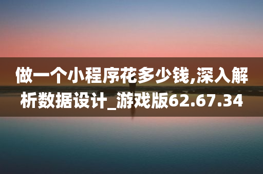 做一个小程序花多少钱,深入解析数据设计_游戏版62.67.34