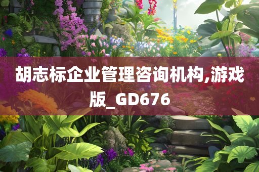 胡志标企业管理咨询机构,游戏版_GD676