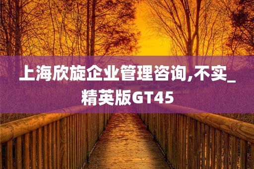 上海欣旋企业管理咨询,不实_精英版GT45