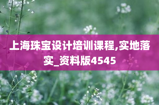 上海珠宝设计培训课程,实地落实_资料版4545