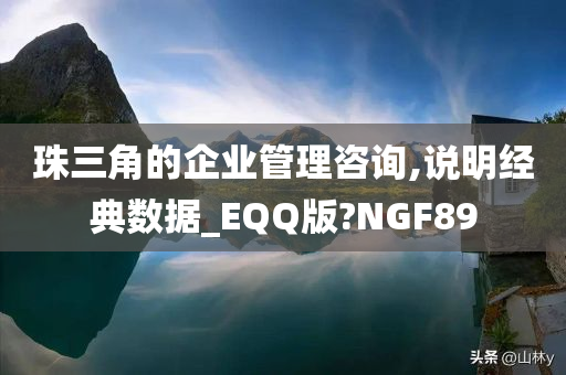 珠三角的企业管理咨询,说明经典数据_EQQ版?NGF89