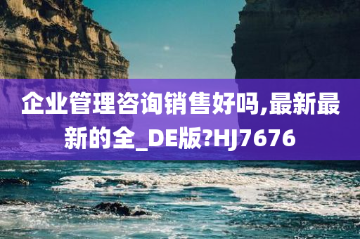 企业管理咨询销售好吗,最新最新的全_DE版?HJ7676