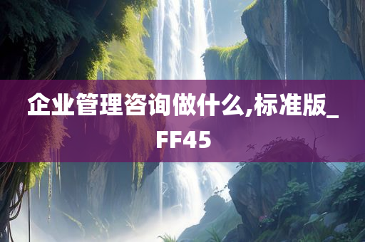 企业管理咨询做什么,标准版_FF45