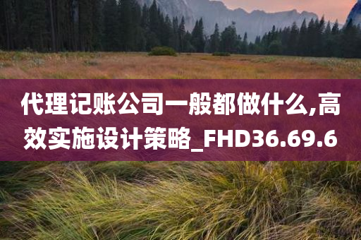 代理记账公司一般都做什么,高效实施设计策略_FHD36.69.60