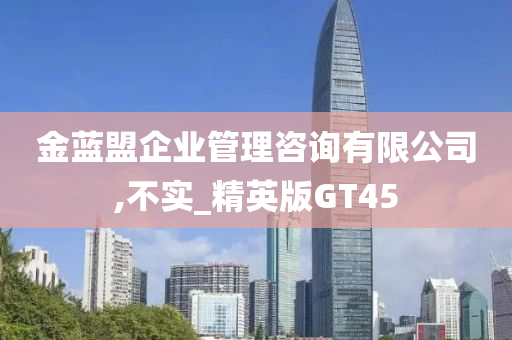 金蓝盟企业管理咨询有限公司,不实_精英版GT45