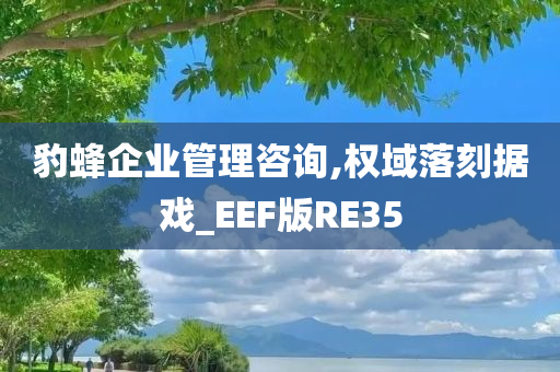 豹蜂企业管理咨询,权域落刻据戏_EEF版RE35