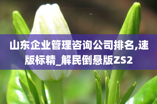 山东企业管理咨询公司排名,速版标精_解民倒悬版ZS2