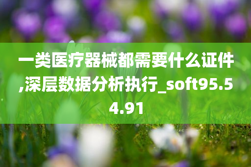 一类医疗器械都需要什么证件,深层数据分析执行_soft95.54.91