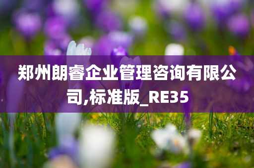 郑州朗睿企业管理咨询有限公司,标准版_RE35