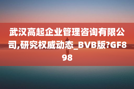 武汉高起企业管理咨询有限公司,研究权威动态_BVB版?GF898