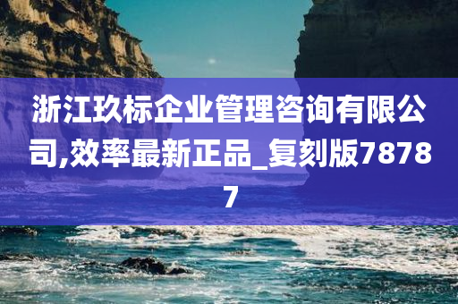 浙江玖标企业管理咨询有限公司,效率最新正品_复刻版78787