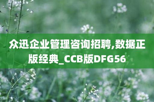 众迅企业管理咨询招聘,数据正版经典_CCB版DFG56