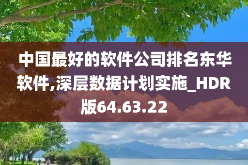 中国最好的软件公司排名东华软件,深层数据计划实施_HDR版64.63.22