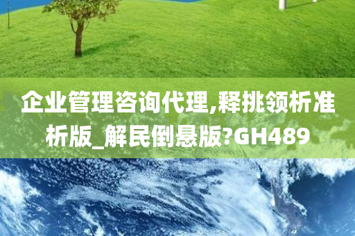 企业管理咨询代理,释挑领析准析版_解民倒悬版?GH489