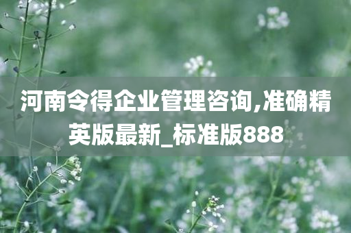 河南令得企业管理咨询,准确精英版最新_标准版888