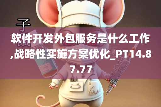 软件开发外包服务是什么工作,战略性实施方案优化_PT14.87.77