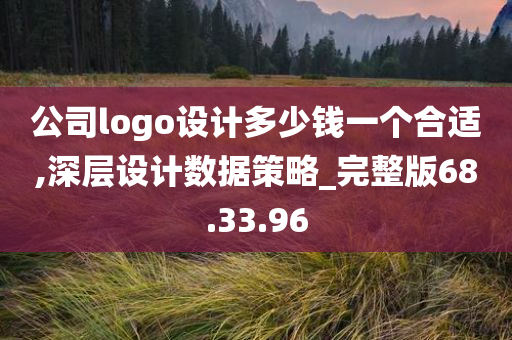 公司logo设计多少钱一个合适,深层设计数据策略_完整版68.33.96