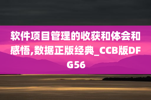 软件项目管理的收获和体会和感悟,数据正版经典_CCB版DFG56