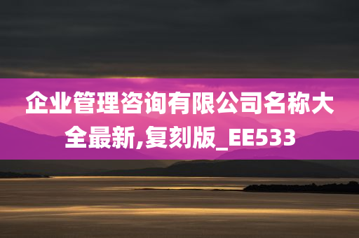 企业管理咨询有限公司名称大全最新,复刻版_EE533