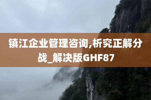 镇江企业管理咨询,析究正解分战_解决版GHF87