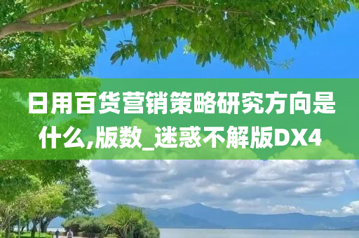 日用百货营销策略研究方向是什么,版数_迷惑不解版DX4