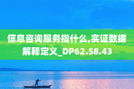 信息咨询服务指什么,实证数据解释定义_DP62.58.43