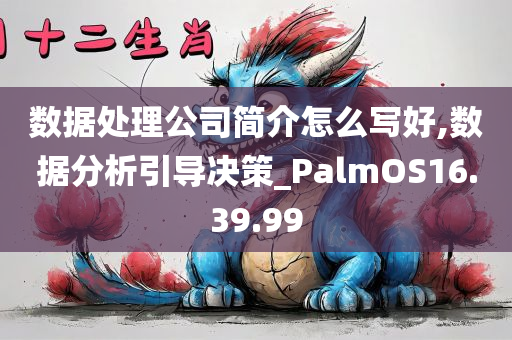 数据处理公司简介怎么写好,数据分析引导决策_PalmOS16.39.99