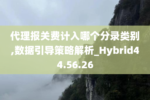 代理报关费计入哪个分录类别,数据引导策略解析_Hybrid44.56.26