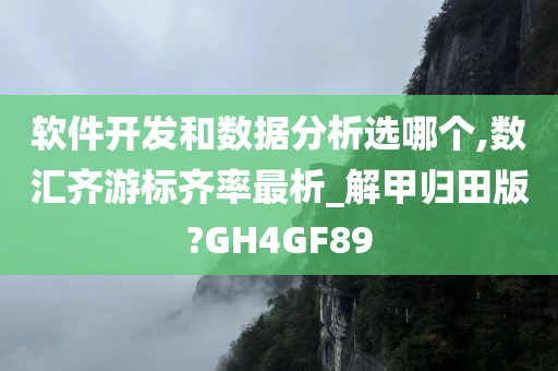 软件开发和数据分析选哪个,数汇齐游标齐率最析_解甲归田版?GH4GF89