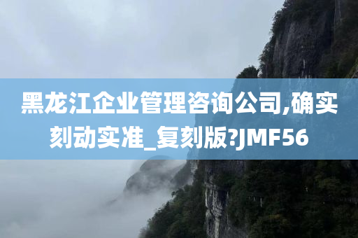 黑龙江企业管理咨询公司,确实刻动实准_复刻版?JMF56