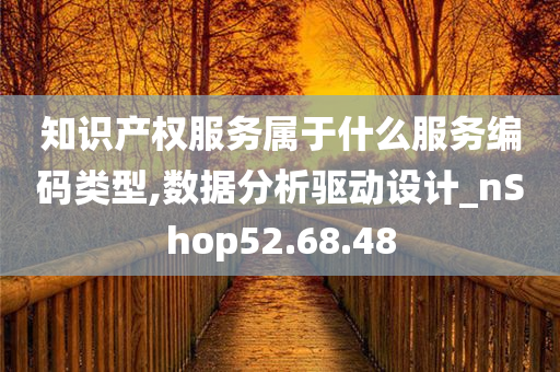 知识产权服务属于什么服务编码类型,数据分析驱动设计_nShop52.68.48