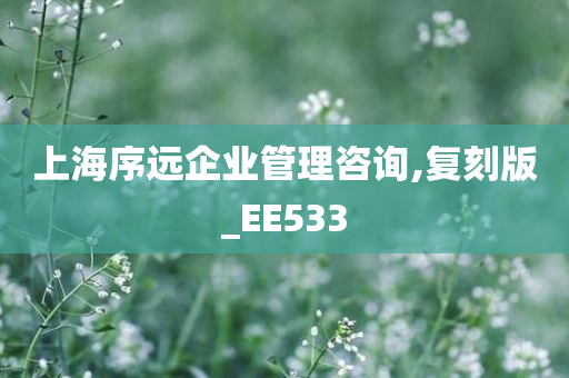 上海序远企业管理咨询,复刻版_EE533