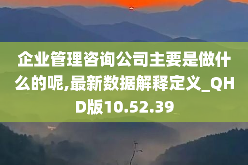 企业管理咨询公司主要是做什么的呢,最新数据解释定义_QHD版10.52.39