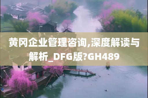 黄冈企业管理咨询,深度解读与解析_DFG版?GH489