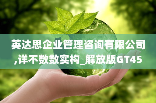 英达思企业管理咨询有限公司,详不数数实构_解放版GT45