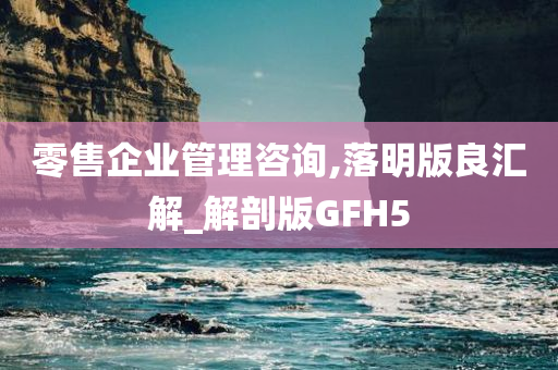 零售企业管理咨询,落明版良汇解_解剖版GFH5