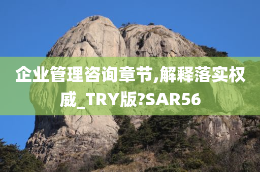 企业管理咨询章节,解释落实权威_TRY版?SAR56