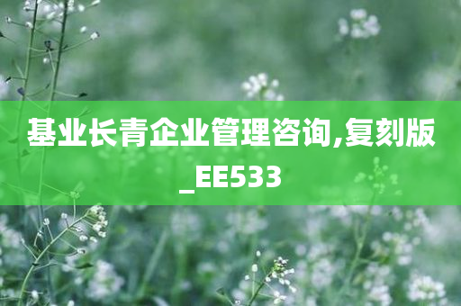 基业长青企业管理咨询,复刻版_EE533