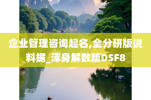 企业管理咨询起名,全分研版说料据_浑身解数版DSF8