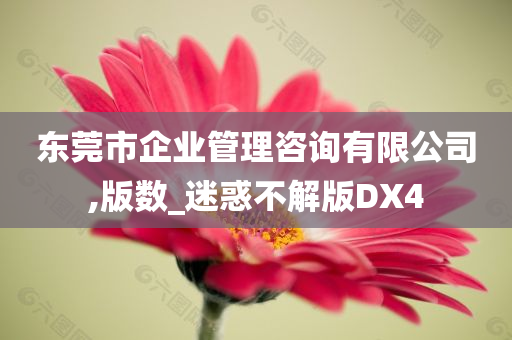 东莞市企业管理咨询有限公司,版数_迷惑不解版DX4