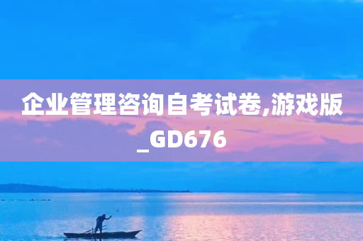 企业管理咨询自考试卷,游戏版_GD676