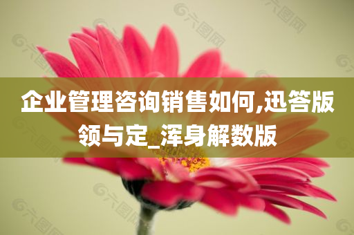 企业管理咨询销售如何,迅答版领与定_浑身解数版