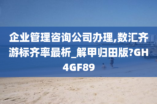 企业管理咨询公司办理,数汇齐游标齐率最析_解甲归田版?GH4GF89