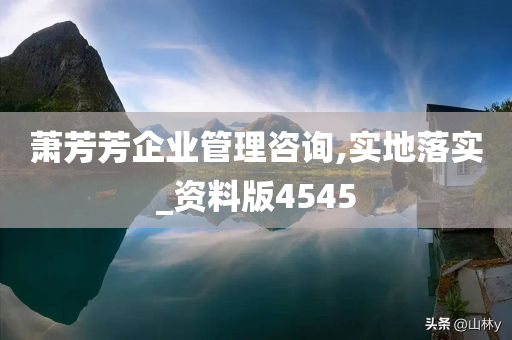 萧芳芳企业管理咨询,实地落实_资料版4545