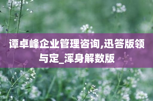 谭卓峰企业管理咨询,迅答版领与定_浑身解数版