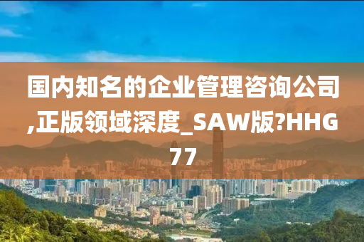 国内知名的企业管理咨询公司,正版领域深度_SAW版?HHG77